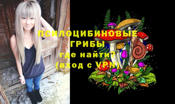 PSILOCYBIN Алексеевка
