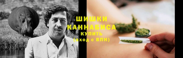 каннабис Инта
